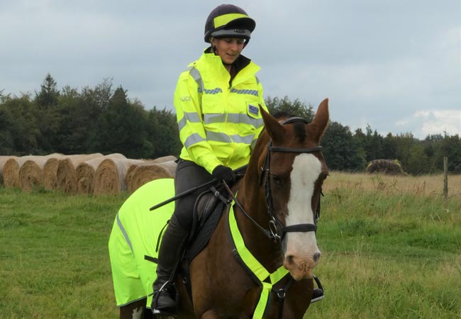 A volunteer on a horse