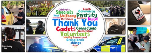 A montage of volunteers carrying out different jobs with a word cloud heart shaped thank you in the middle